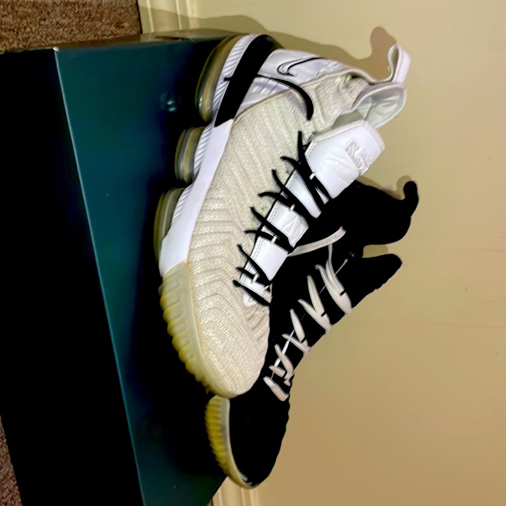 Size 11.5 Lebron 16 equality box included.